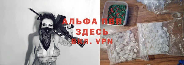 прущий лед Богданович