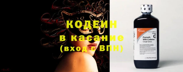 прущий лед Богданович