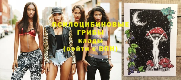 кокс Богородицк