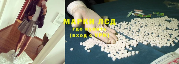 прущий лед Богданович